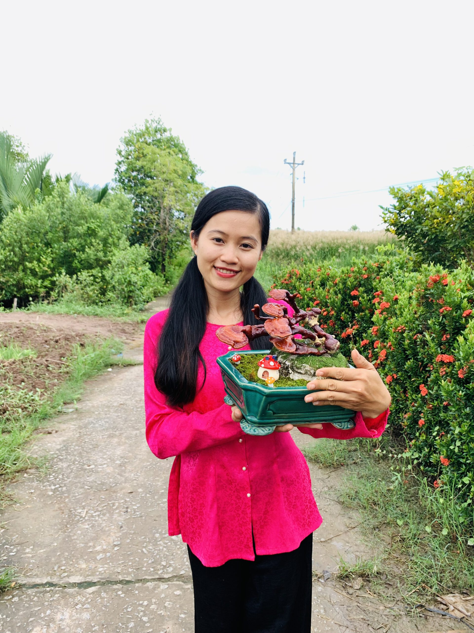 Bonsai nấm linh chi của cô Nấm Cà Mau